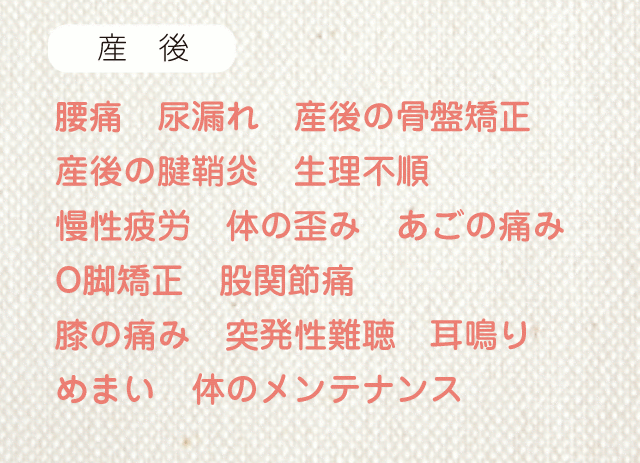 腰痛 尿漏れ 産後の骨盤矯正 産後の腱鞘炎 生理不順 慢性疲労 体の歪み あごの痛み O脚矯正 股関節痛 膝の痛み 突発性難聴 耳鳴り めまい体のメンテナンス